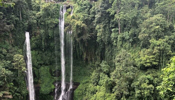 sekumpul waterfalls