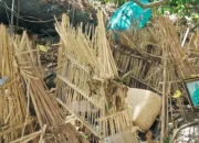 Trunyan Village Bali: A Unique Tourist Destination Full of Stories and Culture