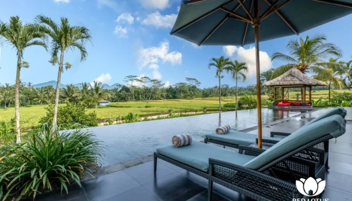 Red Lotus Pool View