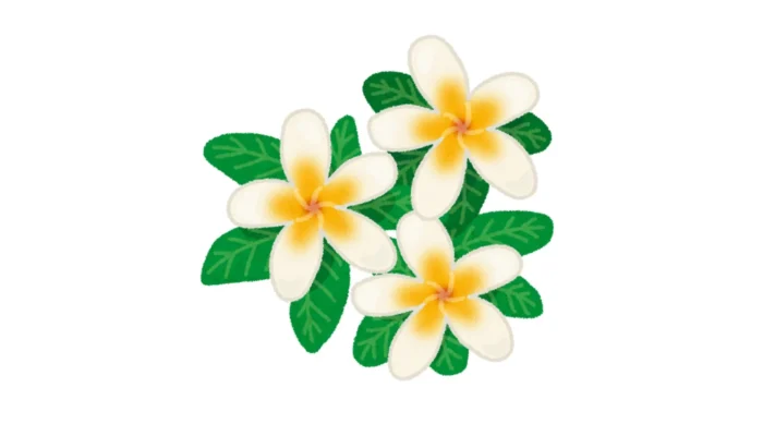Jepun Flower