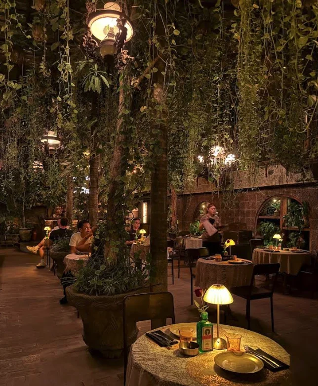 La Favela Forest