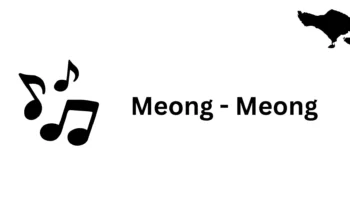 Meong - Meong